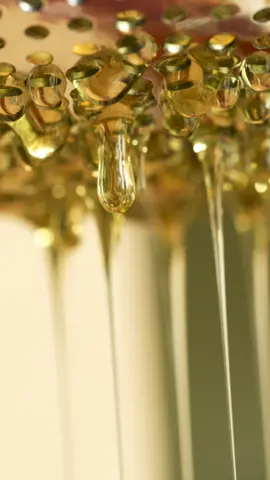 Macro honey 🍯 #fyp #YearOnTikTok