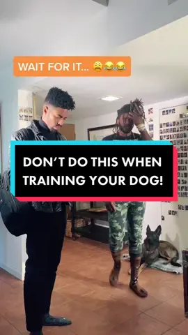 What Happens When You Don’t Reward Your Dog? ~ #DogTraining #servicedog #malinois #germanshepherd #howto #gooddog #blackmen foryou #fyp