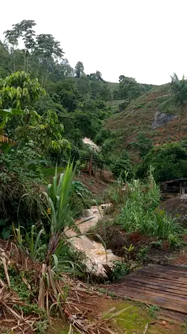 #diachuvoso #casa #quintaldecasa #chuvaboa #cachoeira #mg #vidanocampo #morarnaroça #fazenda #roça #trembao #uai #sô #🌧️ #fy #🇧🇷