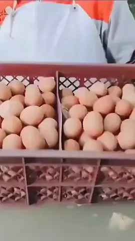 #fyp #tiktok #eggs #cake