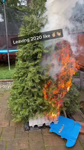 Leaving 2020 like move bit*ch get out the way! #burningtree #christmastree #bye2020imgoingto2021 P.S this tree went up completely in under 2 minutes