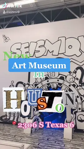SEISMIQUE✨ #seismique #thingstodoinhouston #dateideas #houston #texas #artmuseum #new