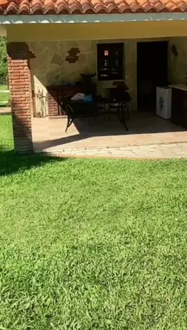 etiqueta Alós tik tokers dominicanos