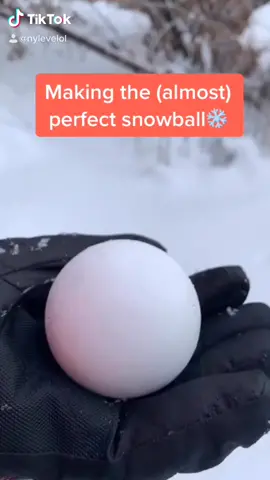 One year ago from today! #repost #viral #snow #snowball #snowing #winter #winterwonderland #wintertime #perfectsnowballs