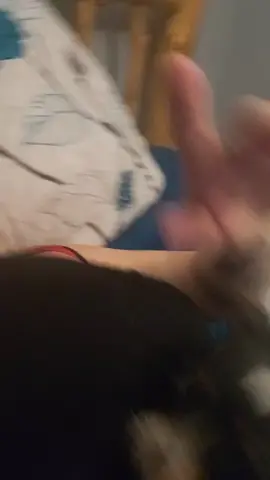 #foryoupage #fyp #BellaBell #mommasgirl