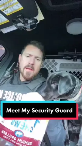 #stitch with @k9_raider281  #dogsofinstaworld #security #stitch🖤 #sitdownandlisten #Bye2020