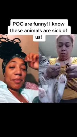 #duet with @sexythickbone79 #catss #nailtrims #fypdongg #Bye2020