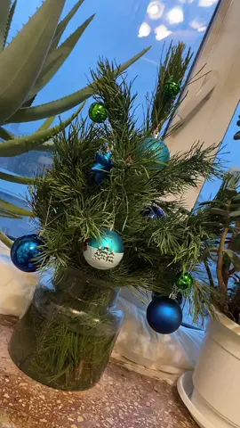 С Новым годом, друзья! #канекорсо #щенки #новыйгод #2021 #щенок #щенкиканекорсо