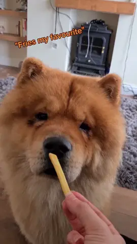 New year New me 👀 starts Monday.. 🦁