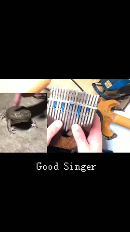 蛙の声を加工してカリンバでコラボしました。#カリンバ #蛙 #frog #kalimba #elvispresley