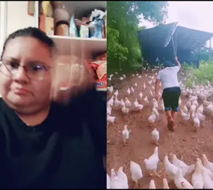 #duet with @marcelo_p_v Had to run around twice 🤣🤣 fyp#fypシ#chicken#war#funnyvideos#paratupagina