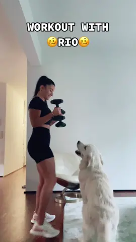 Workout with the best coach 🥵 #coach #workout #Fitness #goldenretriever #sport #fyp #pourtoi