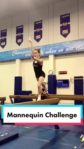 We’re bringing it back 😏 #mannequinchallenge #fyp #oldtrend @norahflatley