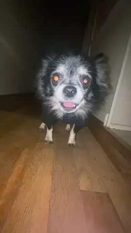 #Pudgywoke #Foryoupage #Foryou #Fyp