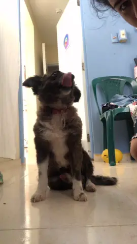🤣😂😂😂😂 que loquito siempre con el pito fuera