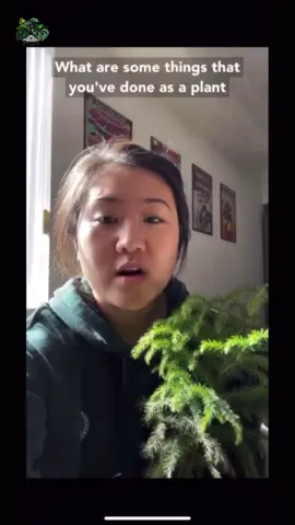 Stitch with @distractedplantgirl #stitch #planttiktok #plantcheck #plantlover