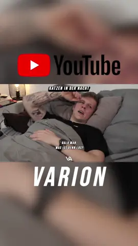#varion #katzen #nacht #youtube
