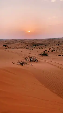 اطلع ارحل 😁#مقابل_المره #اطلع_اكسبلور #اطلع #ربيع #كشته_طلعه_بر #كشته_طلعه_بر_وناسه #اكسبلور؟ #لايك