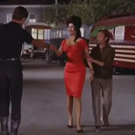 #sophialoren #sofialoren #italian #italiana #movie #film #sophia #loren #italy #vintage #boccaccio