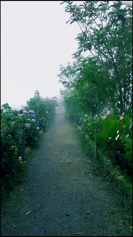 The rain won't stop me🌧 #intinature #natureec #tungurahua