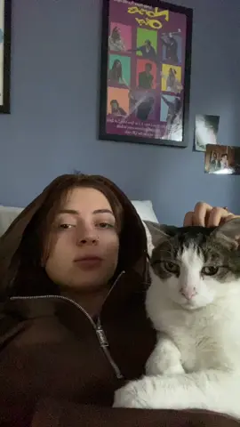 here’s my cat his name is meatball he talks a lot