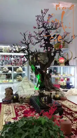 Linh Các trà rượu nồng hương - Ghé vào xin trú tránh sương gió này - Mời người nghỉ tạm chốn đây - Dùng chung trà nhạt hiên tây nghe đàn!...