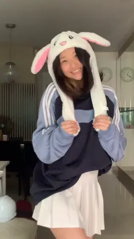 🐰