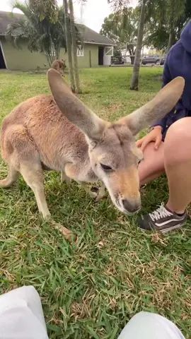 #WOW As promised - The DIRTY pouch 😲 Some moms do a better job keeping theirs cleaner than others #fyp #foryou #foryoupage