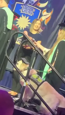 This service dog came to graduation and had his own cap🥺🎓 (@the.apollo.show) #fyp #foryoupage #foryou #dogtok #dogsoftiktok #tiktok #cute