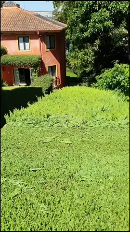 Some hyperlapse fun!! #hedging #hedges #mywork #hyperlapsevideo #tiktokaustralia #tiktok #hedgelover #professionalgardener