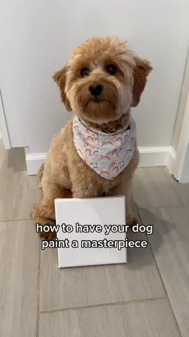 Reply to @asle202  posting with some instructions! 🐶🎨 #dogpaintingchallenge #fyp #dogsoftiktok #puppylove #DIY