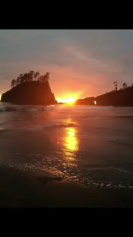 WA so prettyyyyy #greenscreen #pnw #wa #nature #sunset