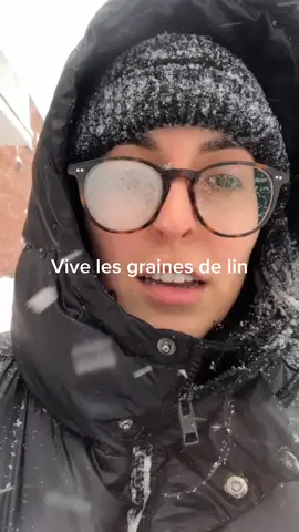 Belle journée pour être une graine de lin #tiktok #goodday #snow #fy #qc