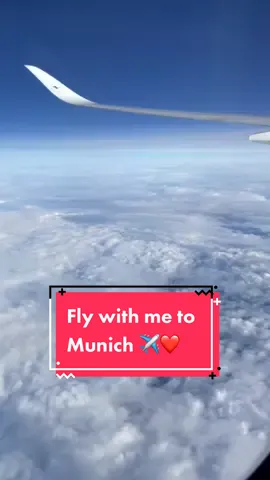 Danke für 130k 🥺❤️ #flugbegleiterin #flugbegleiter #cabincrew #flightattendant #stewardess #flightcrew #crew #flugzeug #flyfact #travel #fliegen #✈️