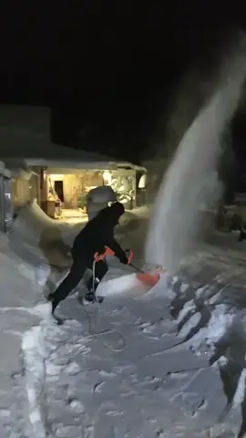 Чем чистите снег? #буднифермера #зимняятеплица #техновости #садогороддача #дача #дачныесоветы #садиогород#огород #дачники #дачаогород #дачныелайфхаки