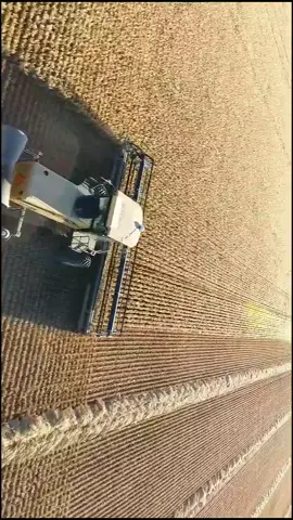 Some horizontal video for yall✌#caseih #canada #agriculture #farming #fyp #foryou #johndeere #MyStyle