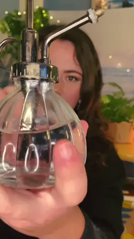 Reply to @jilli_spamssss here’s some spray sounds!!! 🌧 #asmr #BoseAllOut #asmrtiktoks #asmrvideo #relax #asmrsounds #plant #fyp #fypシ #asmrnoises