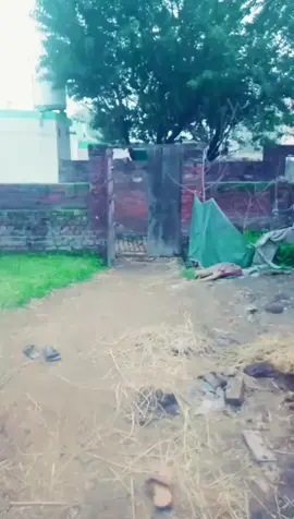 #wasifkhan22111 #foryoupage #wasifbai #foryou #virl