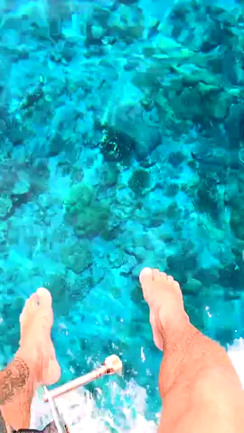 actually think we found the clearest water in the world right near this little tropical island