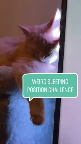 How is this comfortable 🤔