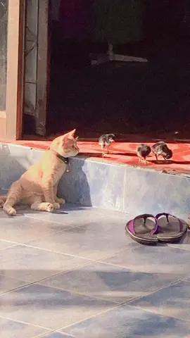 น่าสงสาร55555555555