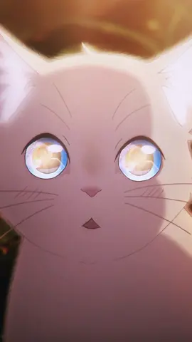 Не теряй своё лицо, ты прекрасен❤️ #сквозьслёзыяпритворяюськошкой #amv #animeedit #стекло #сквозьслезыяпритворяюськошкой
