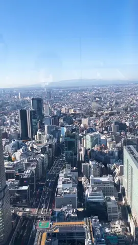 誰もいない朝の渋谷スカイ、最高だった。#渋谷スカイ #おすすめ