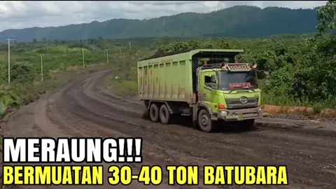 sudah tayang diyoutube Bosque GUNUNG KARAMPUT JALUR MANGGALA, YouTube : Potret Hauling • Instagram :@potret_hauling