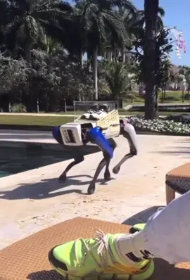 Pharrell pulled up on Pusha T with a robot dog! 👀🤖 (IG: Pharrell & KingPush) #fyp #sneakerhead #viral