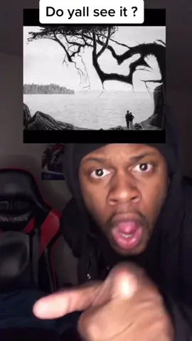 #greenscreensticker Do y’all see it ??? #fyp #viral #fypシ #xyzbca #clues #question #ThisorThatSBLV