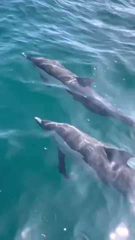 What makes you feel alive? 💛 #ocean #explore #outdoorsygals