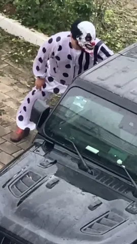 Reply to @user24893839 this gets intense