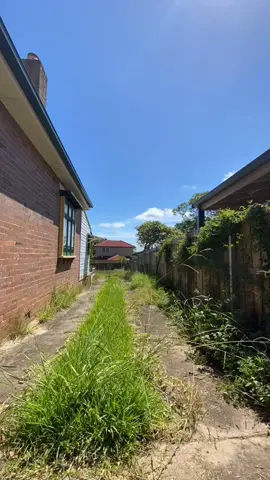 A lot of effort required with this one. Looks a million times better now! #lawn #garden #fyp #lawns #lawnsoftiktok #sydney #satisfying