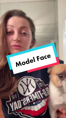 Islays model face > mine. #modelface #fyp #fy #frenchbulldog